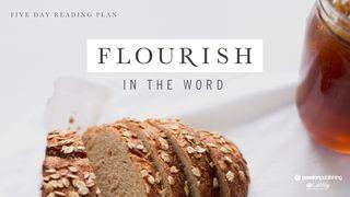 Flourish In The Word Salmo 119:33 Nueva Versión Internacional - Español