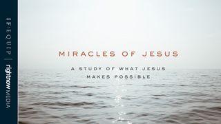 Miracles Of Jesus: A 5-Day Study Of What Jesus Makes Possible Matiyu 15:28 Kwanga