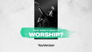 What Does It Mean To Worship? 诗篇 71:8 新译本