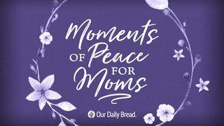 Moments Of Peace For Moms Przysłów 16:1 UWSPÓŁCZEŚNIONA BIBLIA GDAŃSKA