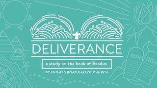 Deliverance: A Study In Exodus Exodus 7:8-10 Contemporary English Version (Anglicised) 2012