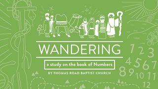 Wandering: A Study In Numbers Numeri 9:23 BasisBijbel