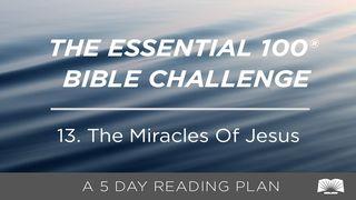 The Essential 100® Bible Challenge–13–The Miracles Of Jesus యోహాను 9:39 తెలుగు సమకాలీన అనువాదము