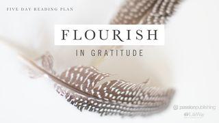 Flourish In Gratitude Matthew 26:52 Ooratha Caaquwaa