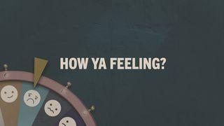 How Ya Feeling? 马太福音 26:30-35 新译本