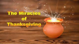 The Miracles Of Thanksgiving मत्ती 14:20 डोगरी नवां नियम