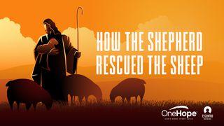 How The Shepherd Rescued The Sheep エゼキエル書 34:11 Colloquial Japanese (1955)