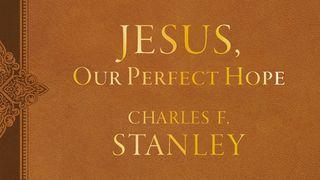 5 Days From Jesus, Our Perfect Hope Psalmen 150:1 Het Boek