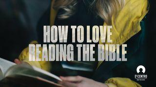 How to Love Reading the Bible  Deuteronomio 11:20-21 Biblia Reina Valera 1960