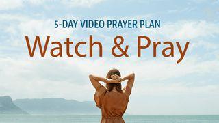 Watch & Pray By Stuart, Jill, & Pete Briscoe Luke 7:50 Yinzebi NT Kiwoyeti