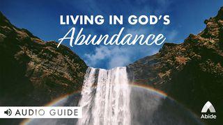 Living In God's Abundance Johannesevangeliet 3:30 Svenska Folkbibeln 2015