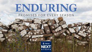 Enduring: Promises For Every Season Psalms 119:93 New Living Translation