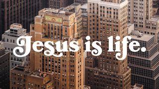 Yesus adalah Hidup - Sebuah Pembelajaran dari Kitab Yohanes Yohanes 1:9 Alkitab Terjemahan Baru