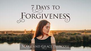 7 Days To Forgiveness 罗马书 2:1-29 当代译本