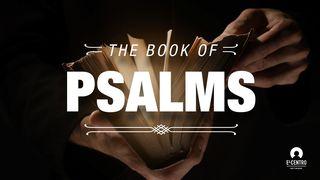 The Book of Psalms Psalm 13:5 Kadede Kap Psam Akan