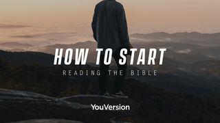 How to Start Reading the Bible Psalms 33:4-5 New Century Version