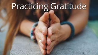 Practicing Gratitude ABÙ ỌMA 16:5 Bible Nso