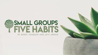 Small Groups. Five Habits Romans 16:17-27 New Living Translation