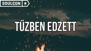 Tűzben Edzett Cselekedetek 1:3 Revised Hungarian Bible