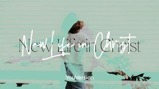 New Life In Christ Colossians 3:1-14 New International Version