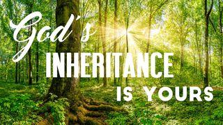 God’s Inheritance Is Yours Yela 1:3 mzwDBL