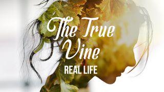 [Real Life] The True Vine Hebreos 9:14 Biblia Dios Habla Hoy