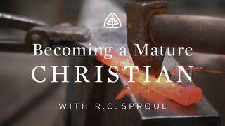 Becoming A Mature Christian Spreuken 21:21 Het Boek