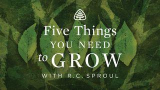 Five Things You Need To Grow Josué 24:14-20 Almeida Revista e Corrigida (Portugal)