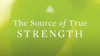 The Source Of True Strength Judges 16:1-21 New King James Version