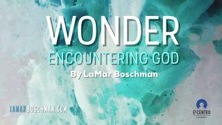 WONDER - Exploring the Mysteries of Encountering God Salmos 96:9 Nova Versão Internacional - Português