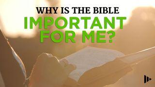 Why Is The Bible Important For Me? Devotions From Time Of Grace ДЗЕІ 8:39 Біблія (пераклад В. Сёмухі)