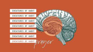 Creatures of Habit: Prayer  Psalmen 66:18 Het Boek