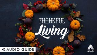 Thankful Living РЫМЛЯНАЎ 11:33 Біблія (пераклад В. Сёмухі)