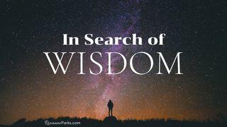 In Search of Wisdom Proverbs 8:10-11 New King James Version