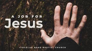 A Job for Jesus 2 Kings 5:13-14 New International Version