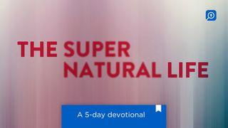 The Supernatural Life 1 Corinthians 15:9-10 New International Version