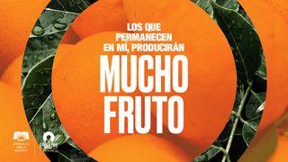 Los que permanecen en mí, producirán mucho fruto  Juan 15:19 Nueva Traducción Viviente