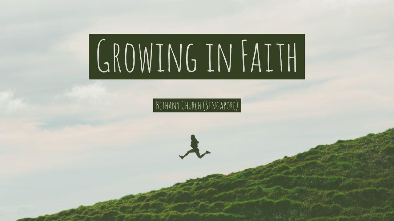 Growing in Faith