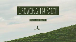 Growing in Faith Hebreeën 13:20-21 Het Boek