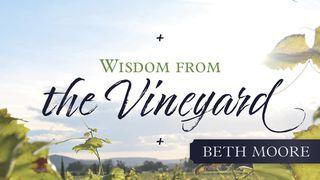 Wisdom from the Vinyard by Beth Moore ေဒသနာက်မ္း 11:5 ျမန္​မာ့​စံ​မီ​သမၼာ​က်မ္