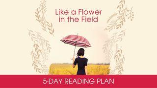 Like A Flower In The Field By Struik Christian Media Jesaja 62:3 Bibel 2000