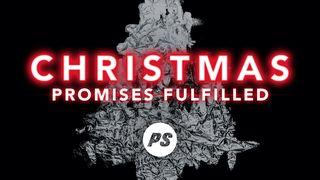 Christmas Promises Fulfilled 2 சாமு 7:13 இண்டியன் ரிவைஸ்டு வெர்ஸன் (IRV) - தமிழ்