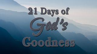 21 Days of God's Goodness Psalmen 143:7 Het Boek