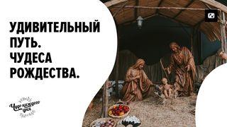 Удивительный путь. Чудеса Рождества Mateja 1:23 New Latvian Gospels