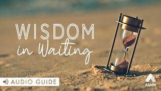 Wisdom in Waiting Psalm 13:1 Kadede Kap Psam Akan