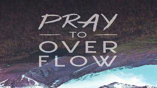 Pray To Overflow Numeri 14:8 Het Boek