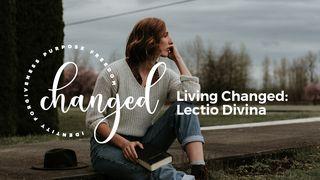 Living Changed: Lectio Divina Psalmen 62:7 Het Boek