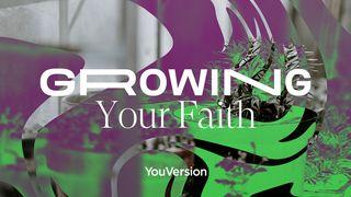 Growing Your Faith 1 Corinthians 9:24-27 The Message