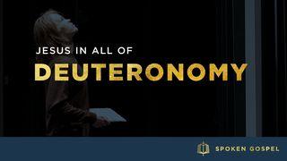 Jesus In All Of Deuteronomy Deuteronomy 16:11 New International Version