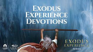 [Exodus Experience Series]  Exodus Experience Devotions Psalms 136:25 Amplified Bible